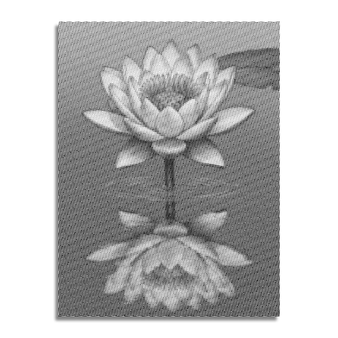 Water Lily on the Water Dot Painting