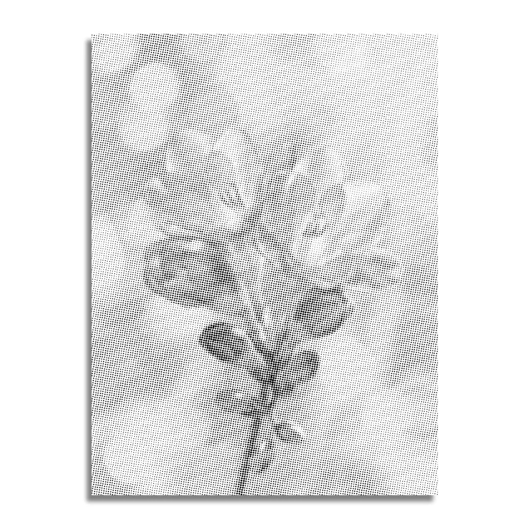 Vrouwen met een Wolf dot painting