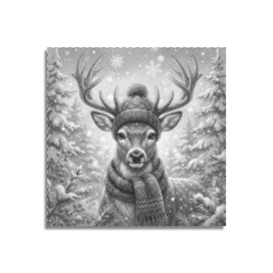 Vrouwen met een Wolf dot painting