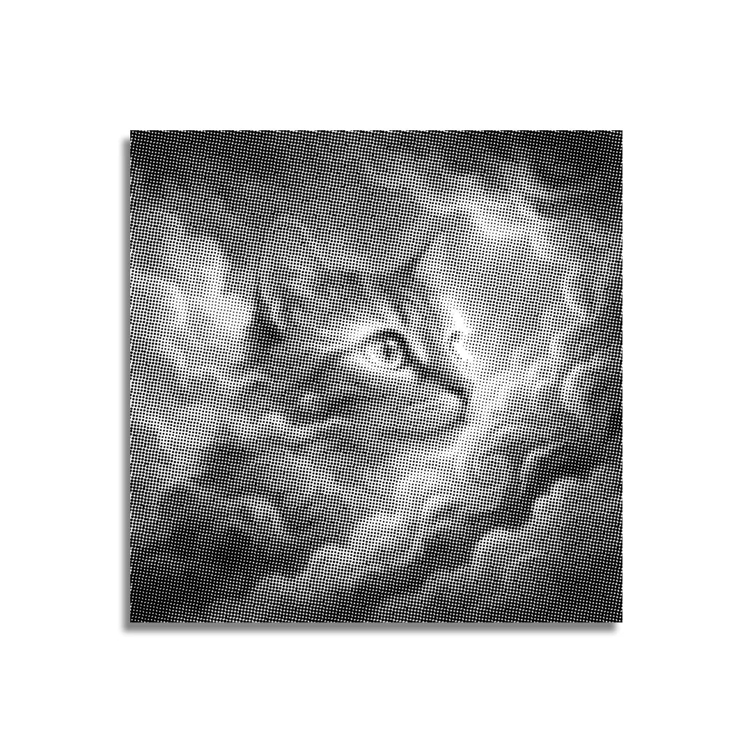 Vrouwen met een Wolf dot painting