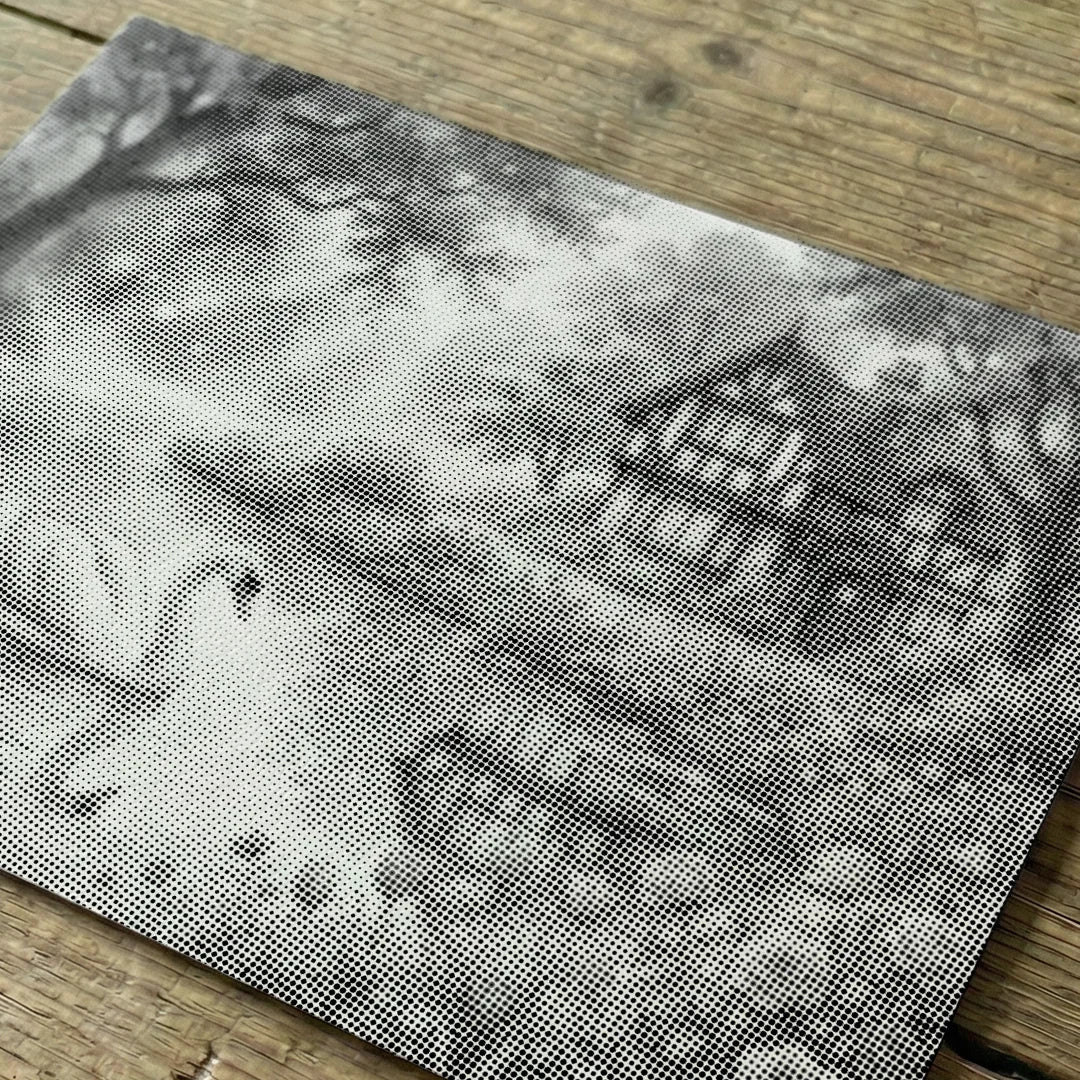 Schwanensee-Punktmalerei